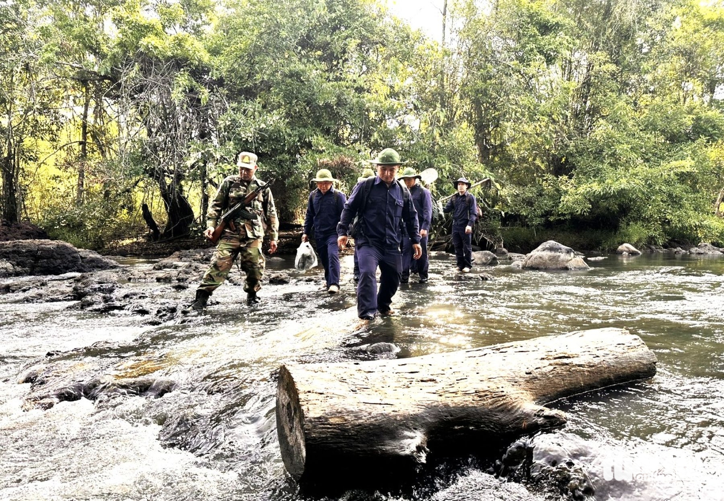Dấu chân K51 tìm kiếm liệt sĩ tại rừng già Mondulkiri trong mùa khô 2026 - Ảnh 3.