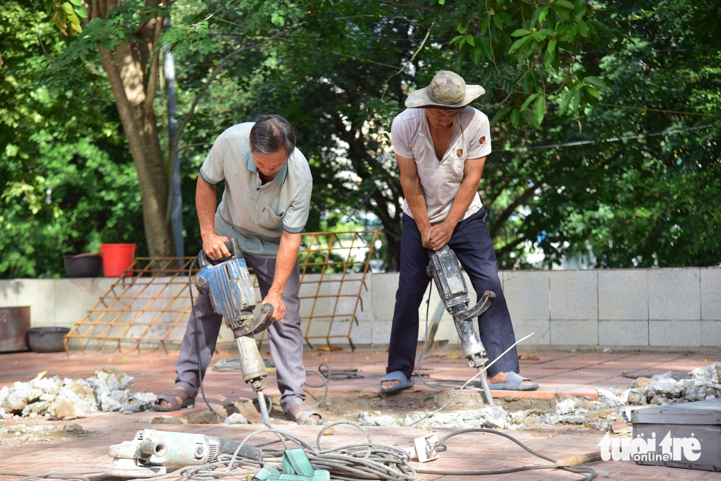 Ngày 1-8: - Ảnh 1.
