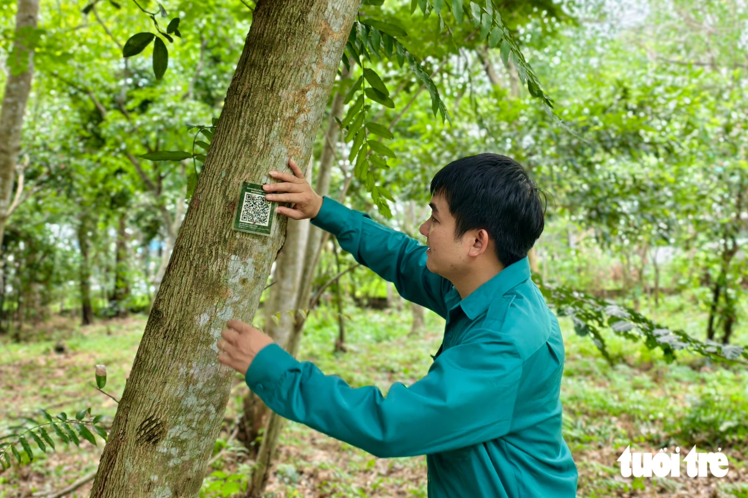 Vườn rừng ngập phèn 367ha, 'lá phổi xanh' cửa ngõ phía tây nam TP.HCM - Ảnh 6.