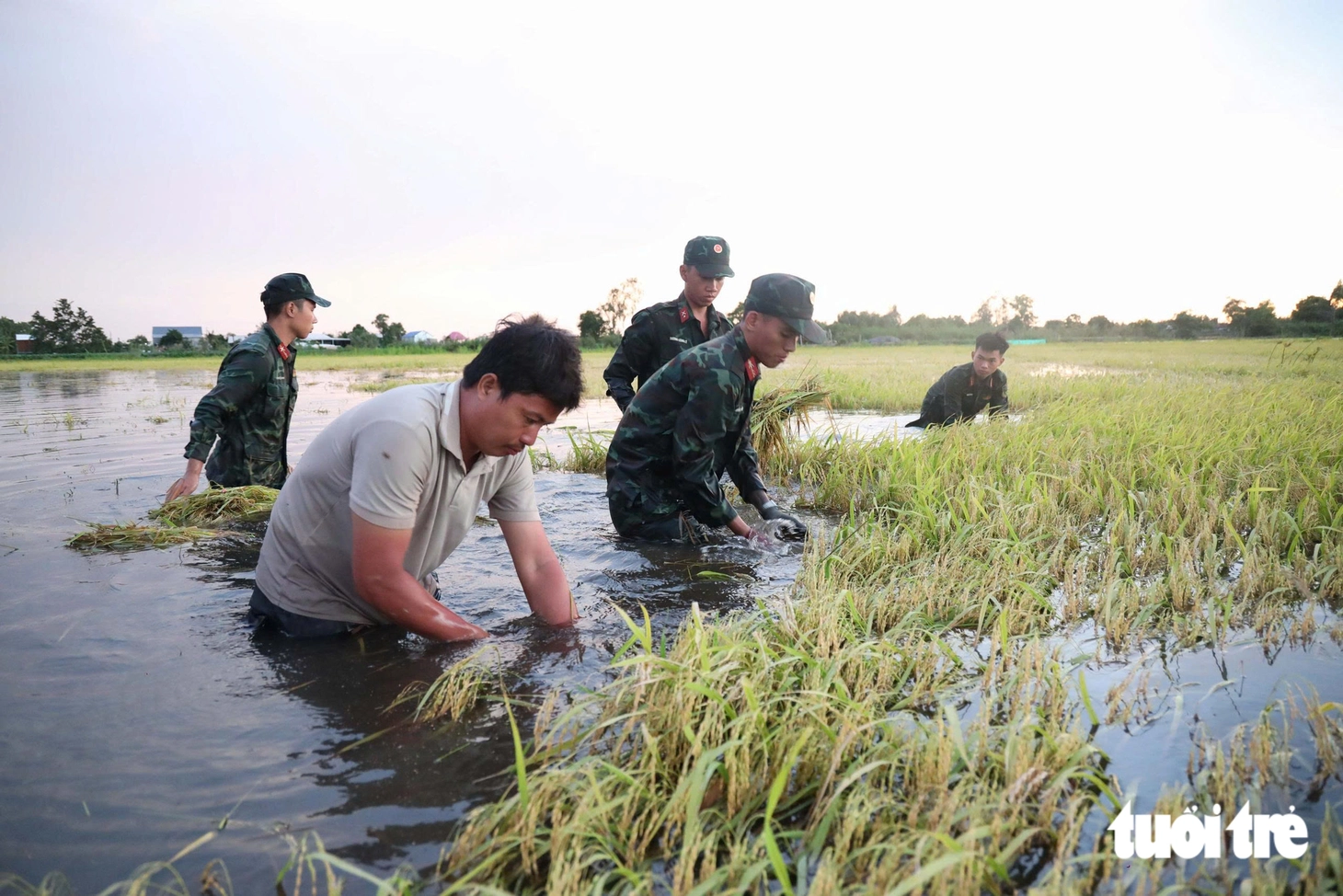 Nước đã nổi ở Đồng Tháp Mười Tây Ninh, thấp sâu so với năm 2025 - Ảnh 4.