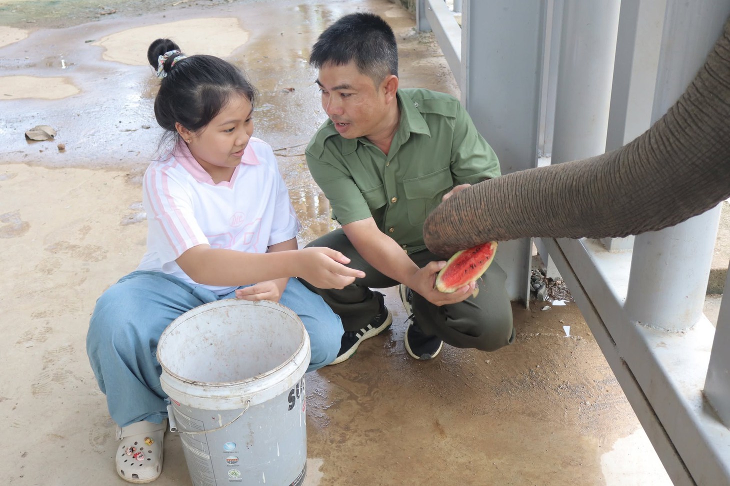 Du khách ngắm voi miễn phí dịp lễ hội sầu riêng - Ảnh 1.
