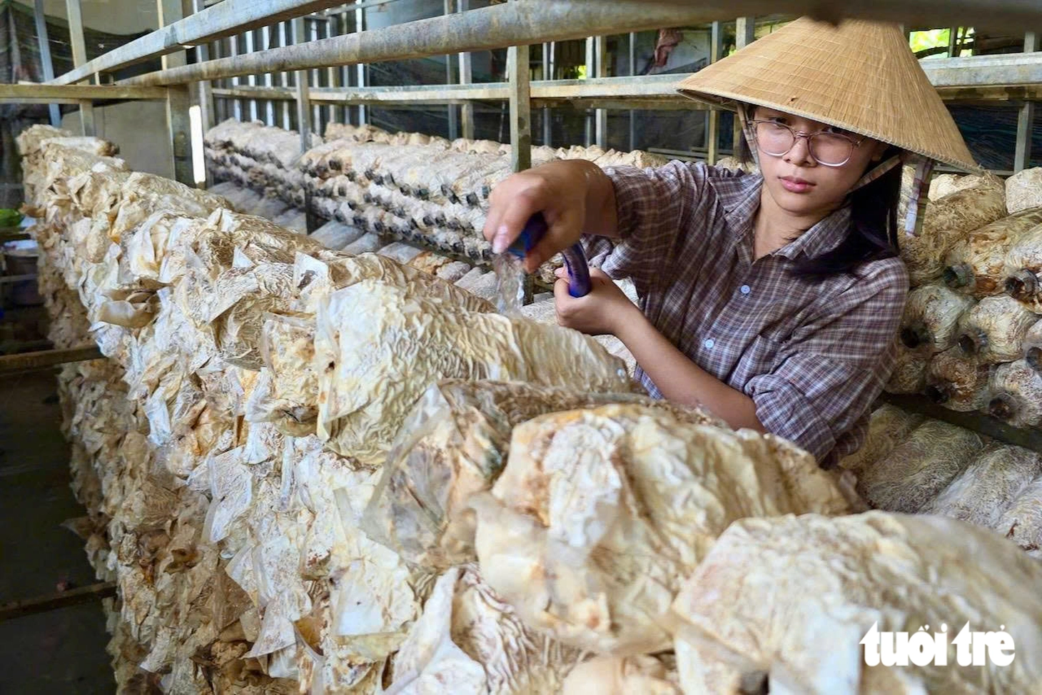 Thưởng 129 HS giỏi tỉnh và quốc gia vươn lên từ bao mái nhà tan tành trong bão lũ 2025 - Ảnh 5.