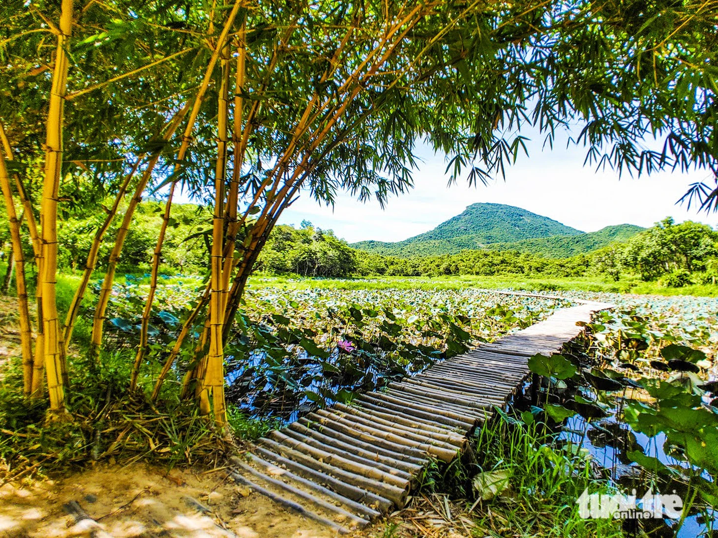 Đến thánh địa Mỹ SơnLạc bước giữa thung lũng thiêng, nghe gạch cổ kể chuyện nghìn năm - Ảnh 18.