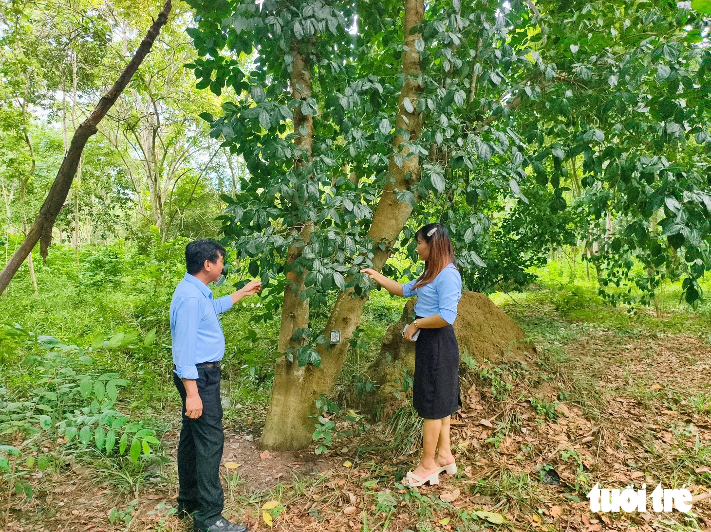  - Ảnh 6.