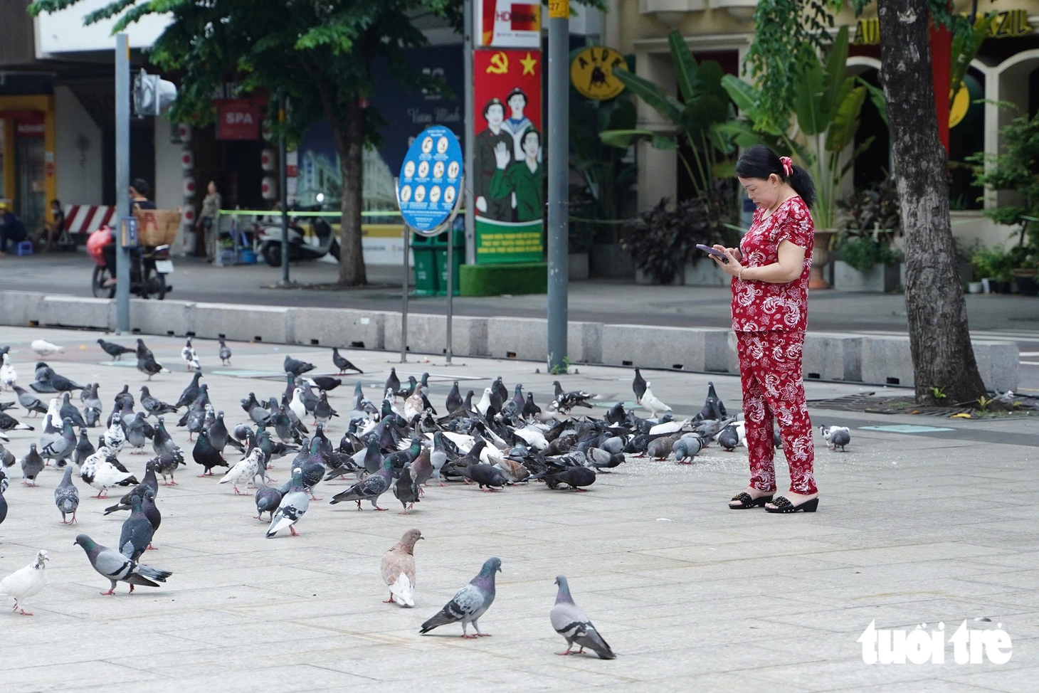 Ngắm nhìn những đàn bồ câu thân thiện giữa trung tâm TP.HCM - Ảnh 5.