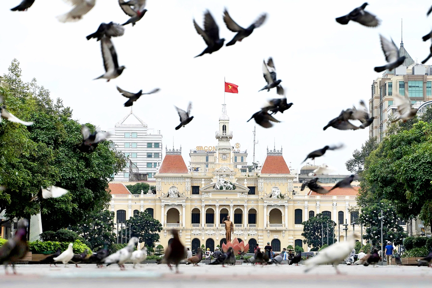 Ngắm nhìn những đàn bồ câu thân thiện giữa trung tâm TP.HCM - Ảnh 2.