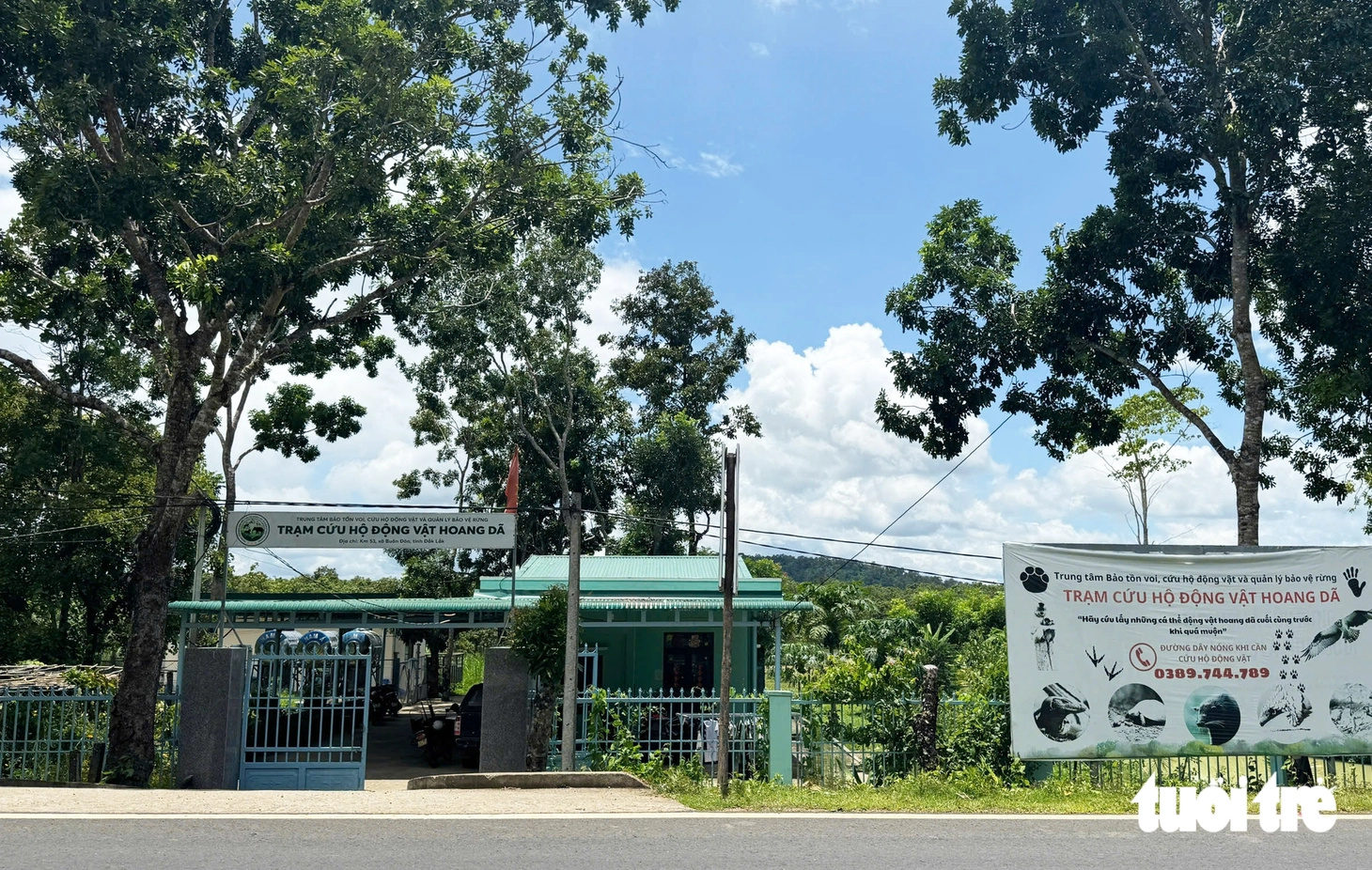 Chuyện cứu hộ động vật hoang dã: 'Cứu chữa' diều hoa Miến Điện, kỳ đà vân cụt chân - Ảnh 10.