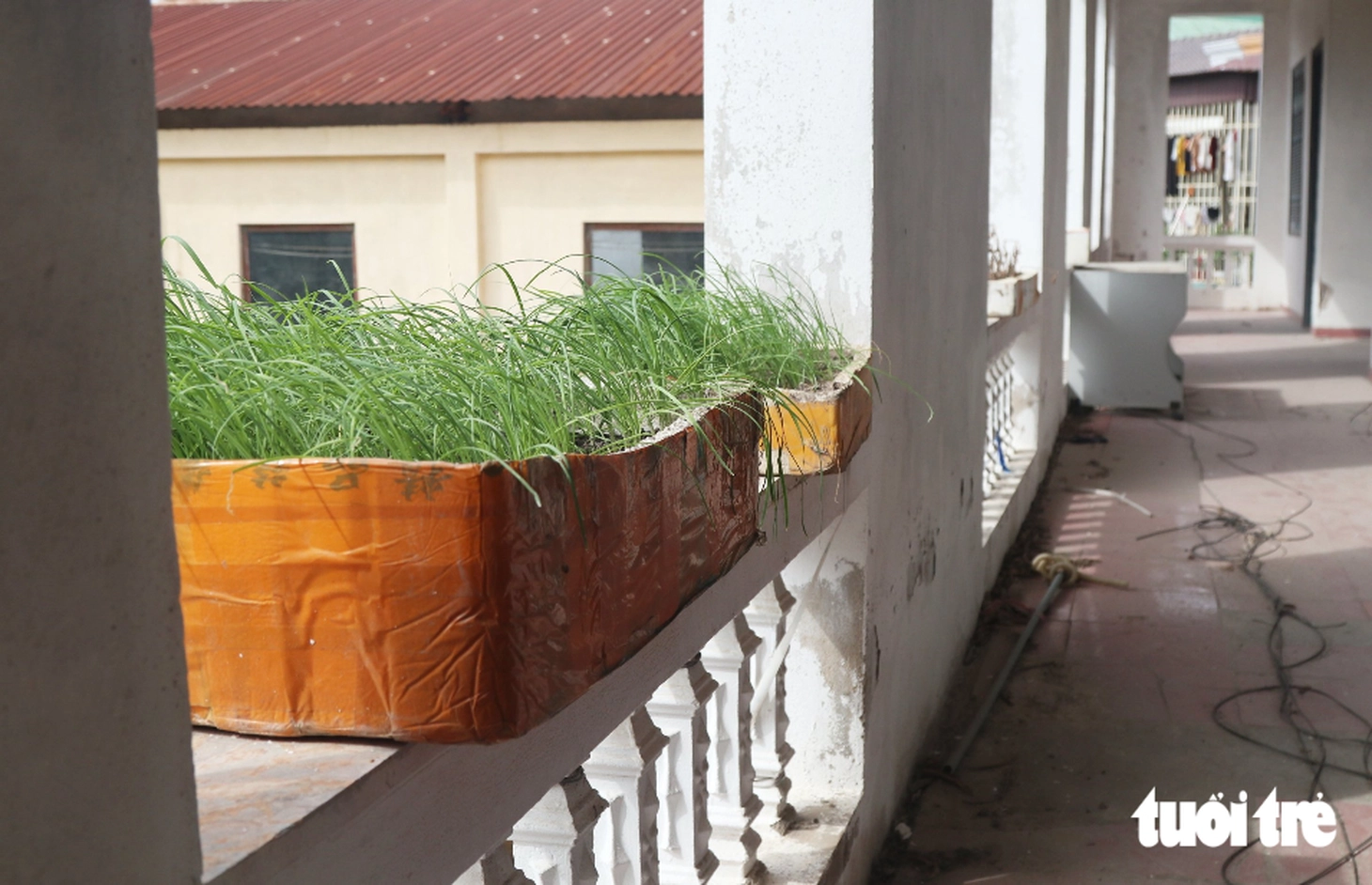 Cảnh hoang tàn trụ sở tòa án dôi dư trên 'đất vàng', tỉnh đem cho thuê hơn 528 triệu đồng/năm - Ảnh 13.