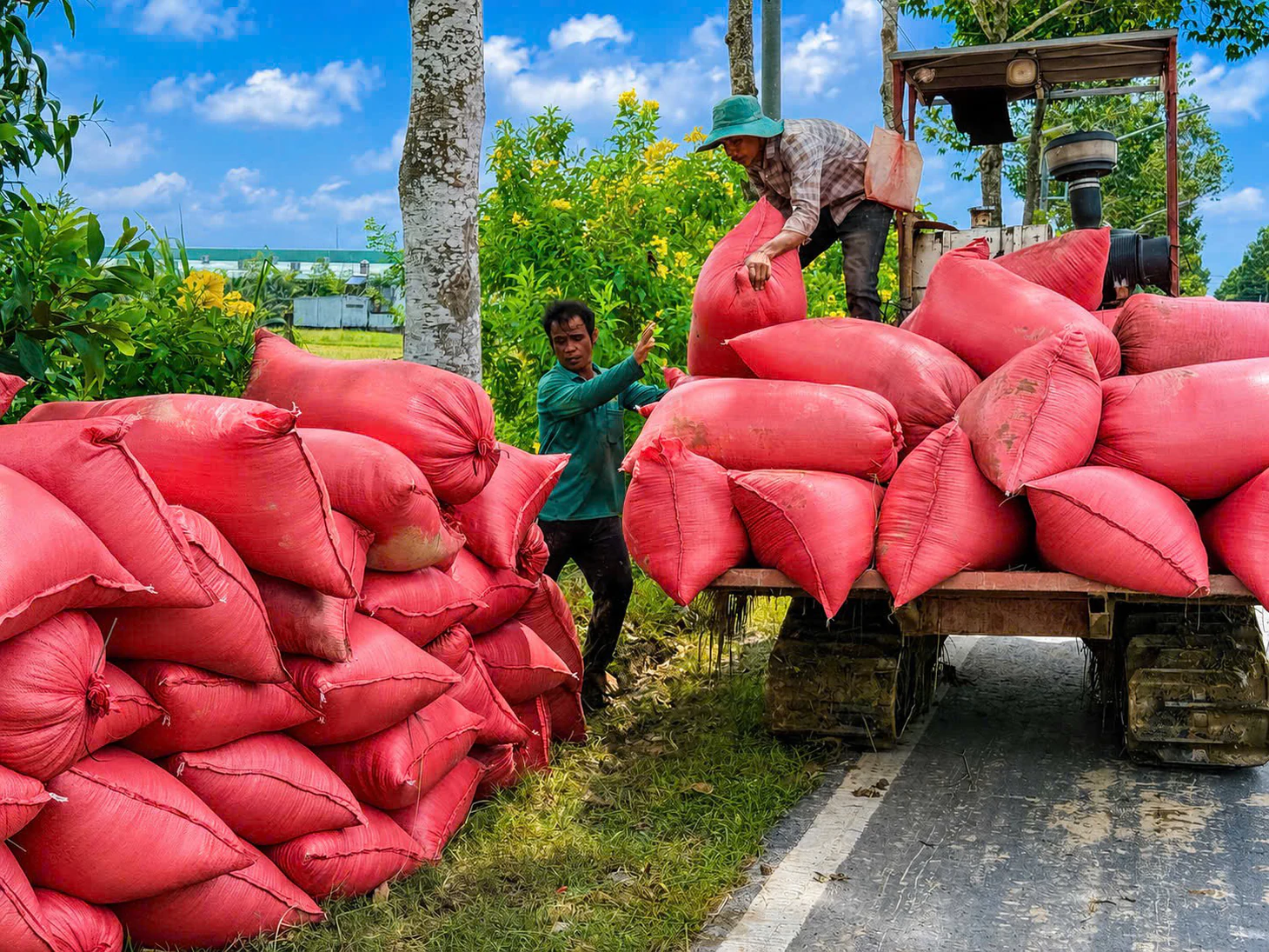 Quyết sách hạt gạo phát thải thấp giúp nông dân miền Tây thành công bền vững - Ảnh 7.