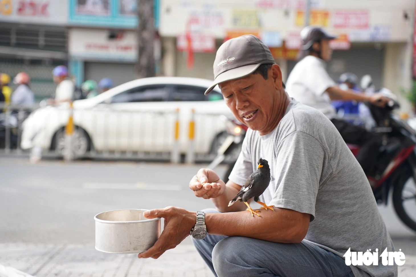 Người cựu binh hơn 30 năm ‘đãi tiệc’ đàn bồ câu giữa lòng TP.HCM - Ảnh 4.