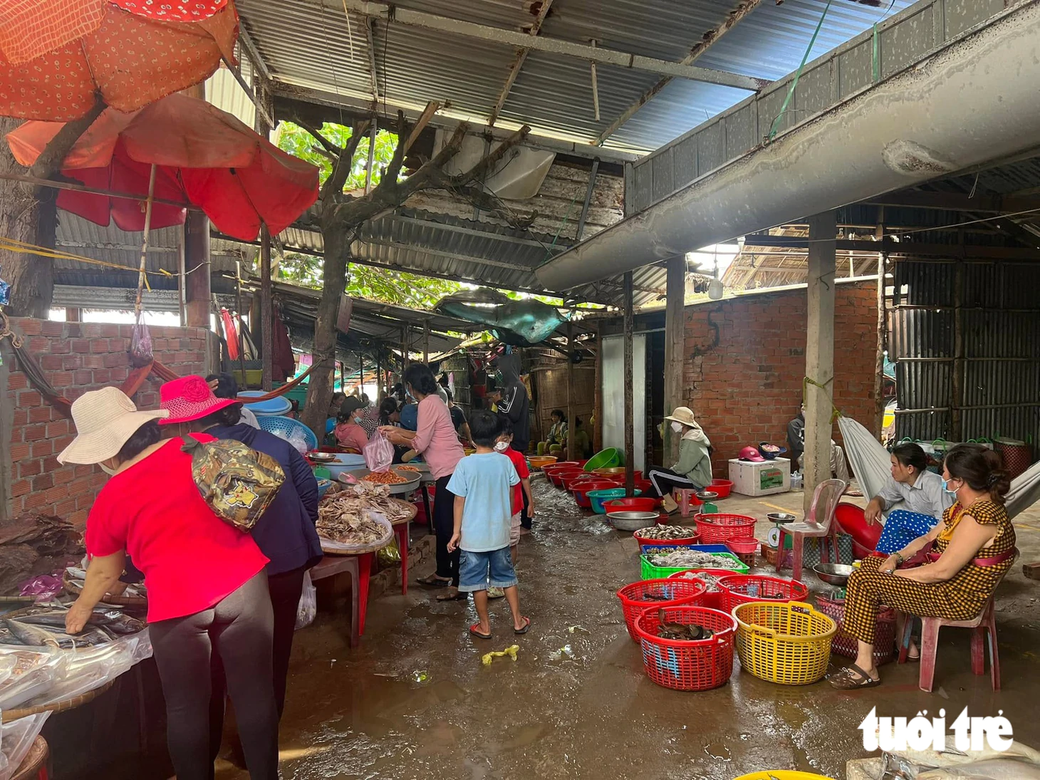 Nghỉ lễ 2 - 9 khám phá biển Thạnh Phong và thưởng thức hải sản tươi sống tuyệt vời - Ảnh 7.