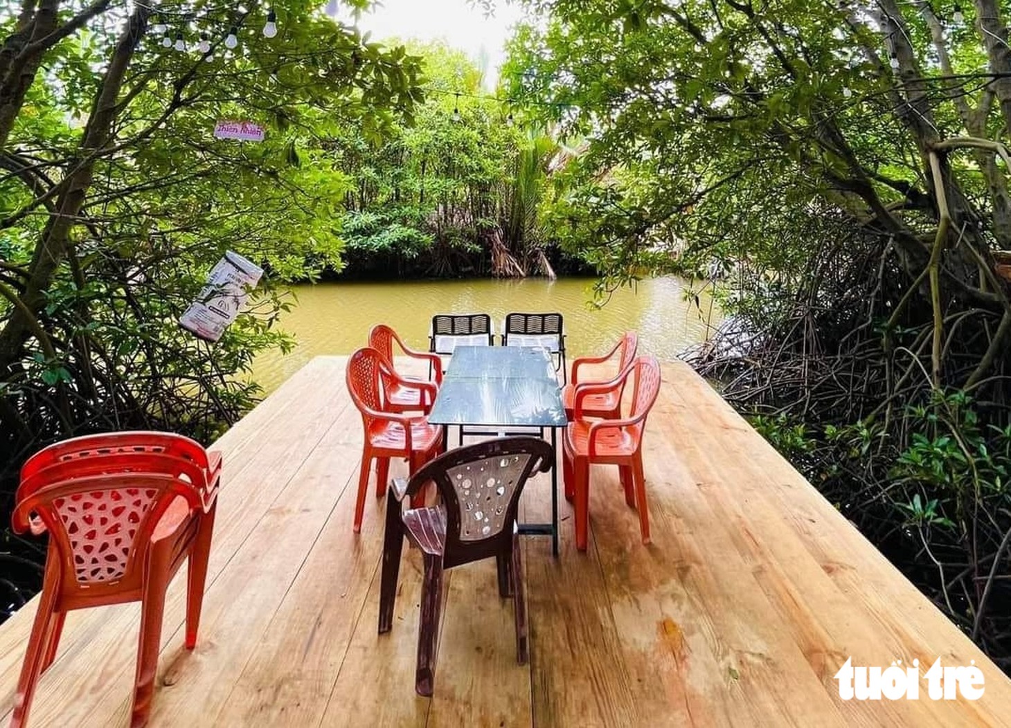 Nghỉ lễ 2 - 9 khám phá biển Thạnh Phong và thưởng thức hải sản tươi sống tuyệt vời - Ảnh 15.