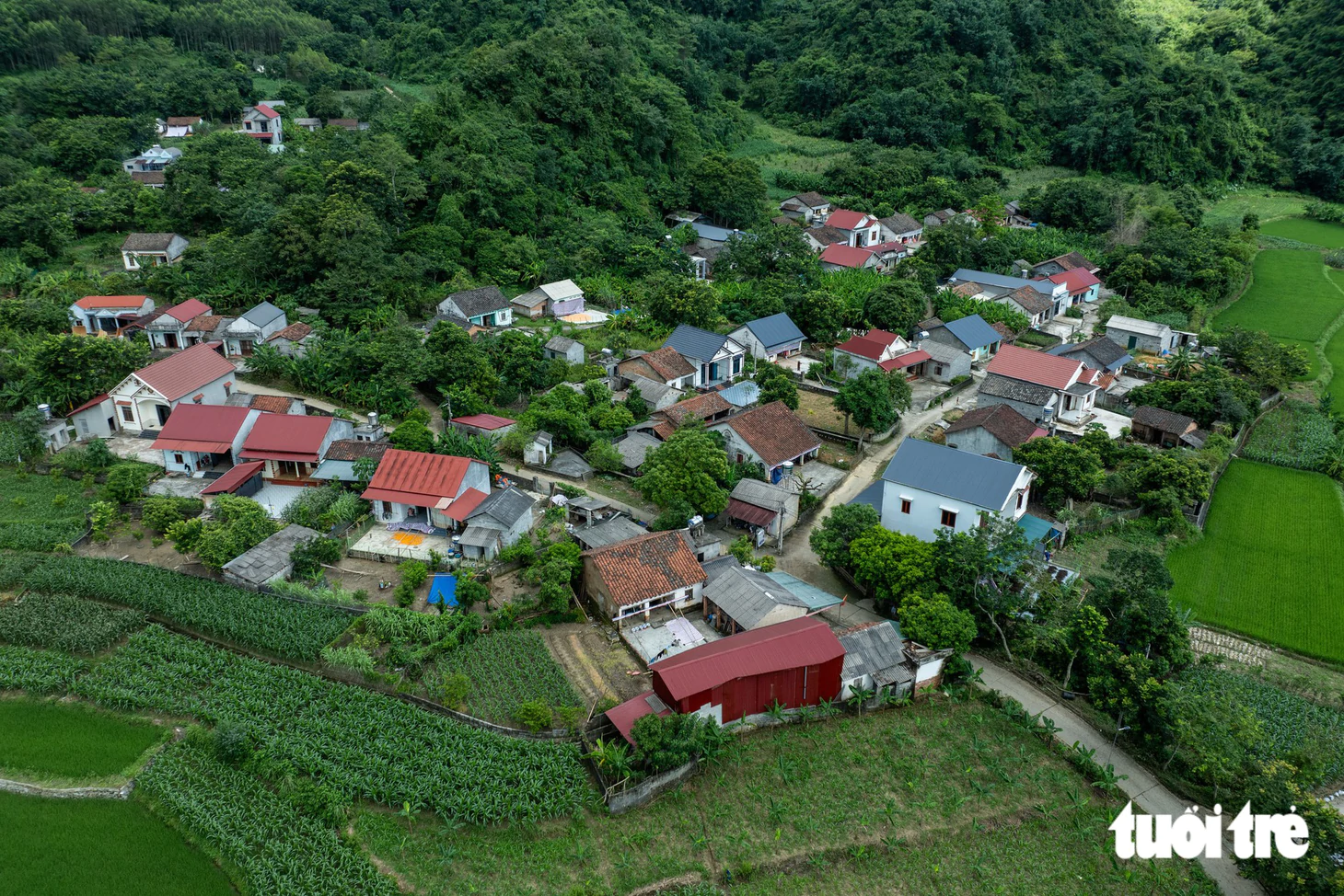  - Ảnh 16.
