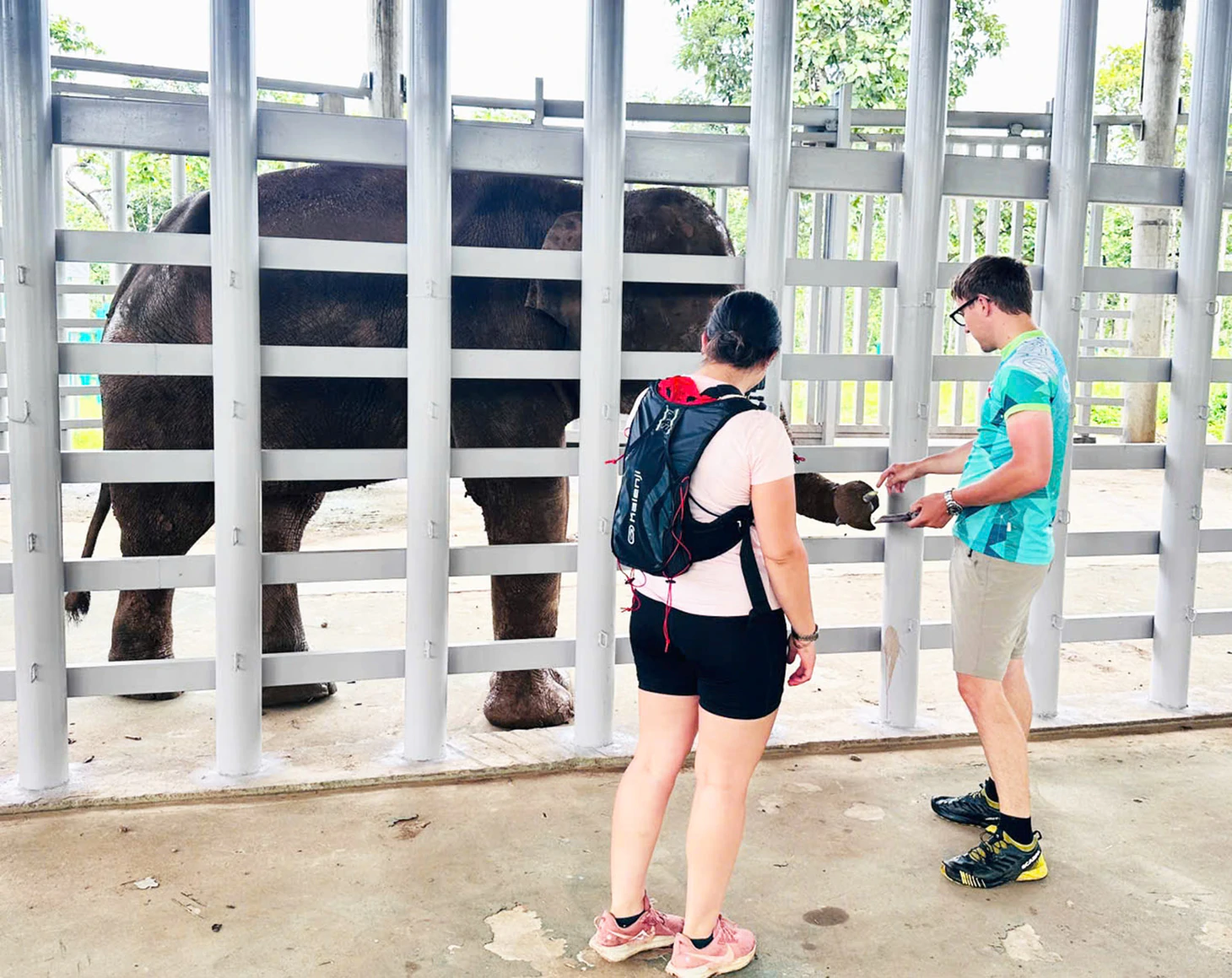 Du khách đổ về ngắm voi, động vật hoang dã ở Buôn Đôn - Ảnh 8.