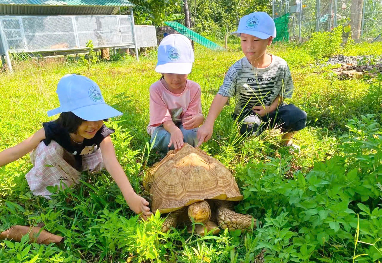 Du khách đổ về ngắm voi, động vật hoang dã ở Buôn Đôn - Ảnh 14.