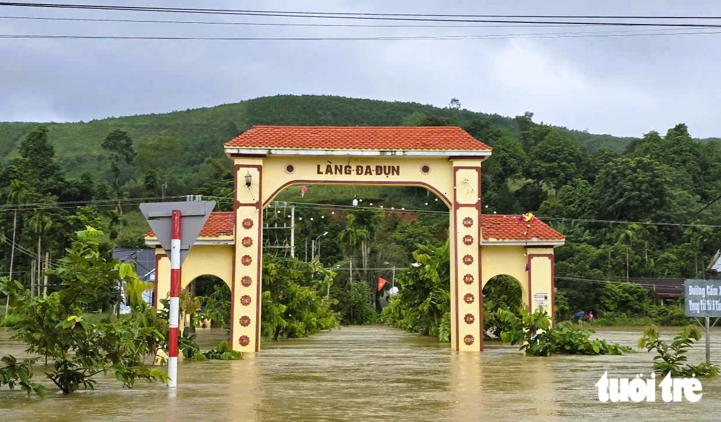 - Ảnh 4.