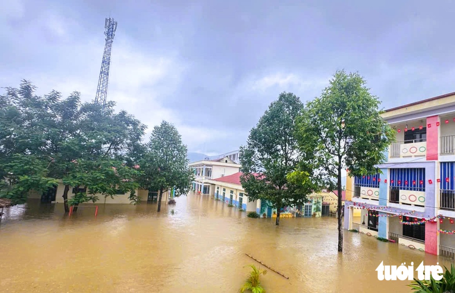 - Ảnh 9.