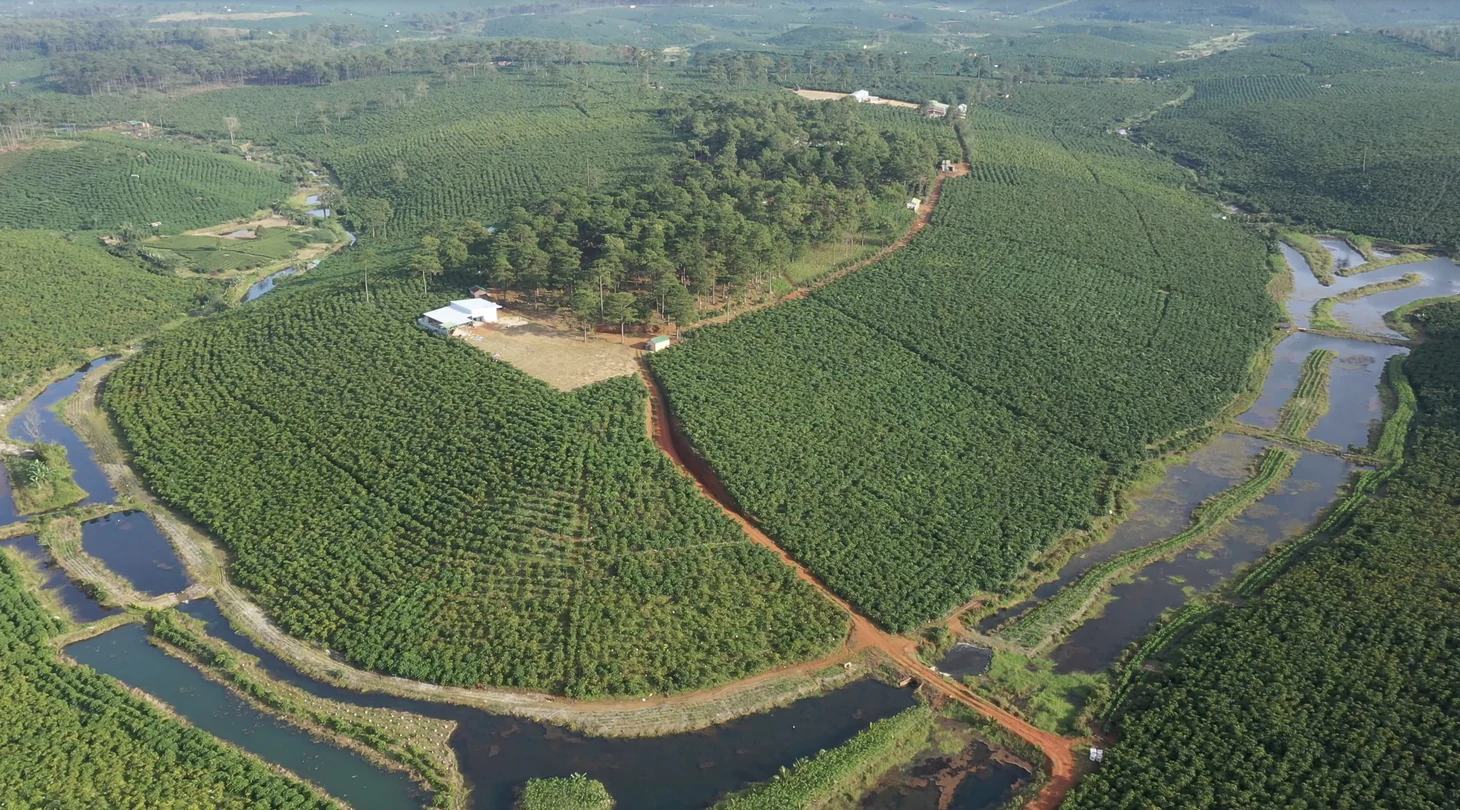 Dữ liệu vùng trồng cà phê: Để Robusta Việt chứng minh chất lượng, tính hợp pháp, giá trị bền vững trên trường quốc tế - Ảnh 10.