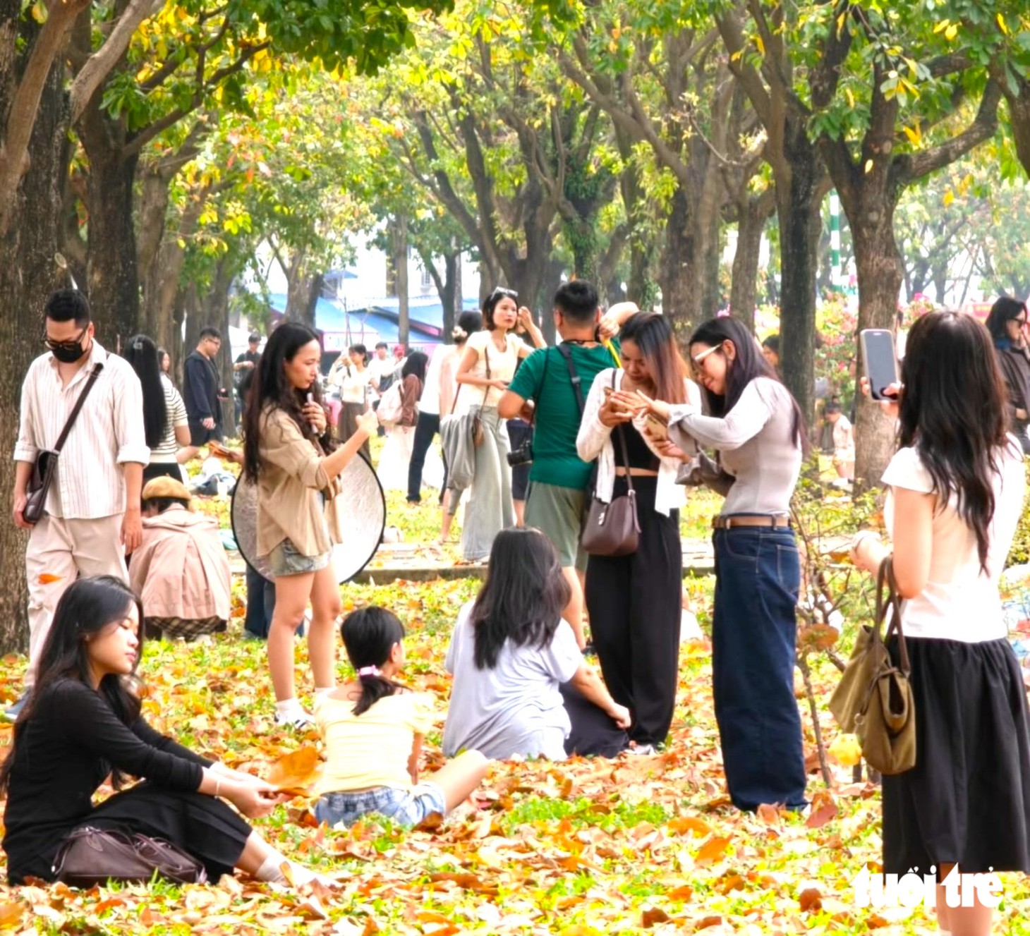 Chụp ảnh mùa lá rụng tại tp . Hcm: Khám phá con đường mùa thu tuyệt đẹp - Ảnh 8.