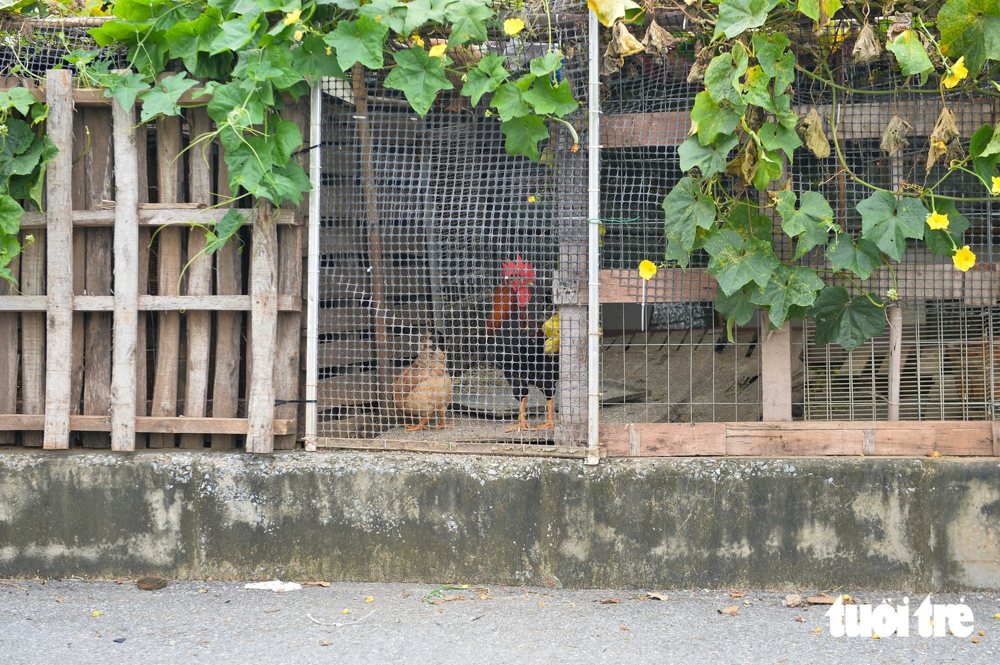 Nơi làm đường bị biến thành bãi rác - Ảnh 9.