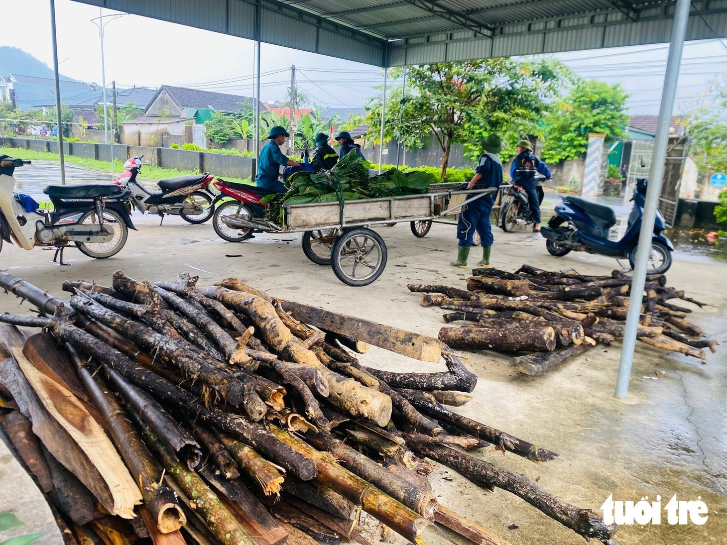 Cả làng gói bánh chưng làm quà Trung thu cho trẻ em - Ảnh 3.