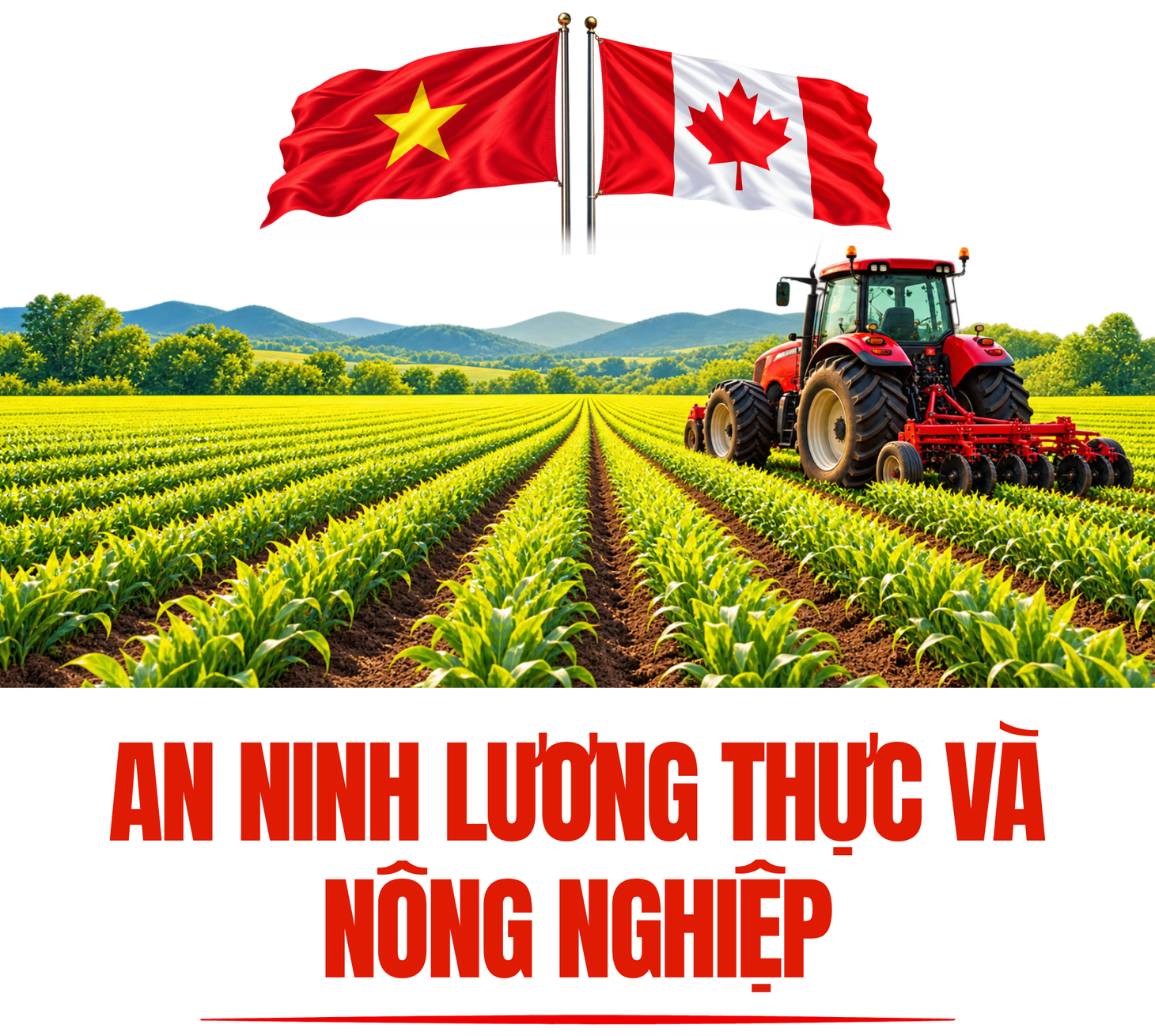 Những điểm đáng chú ý trong Tuyên bố chung về quan hệ Đối tác chiến lược Việt Nam - Canada - Ảnh 7.