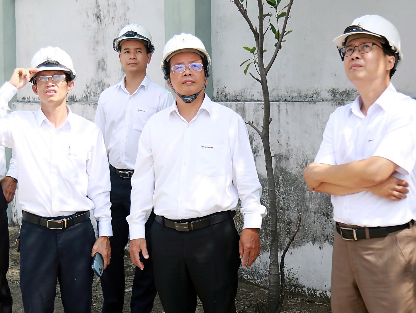 Gắn biển công trình kỷ niệm 50 năm thành lập Công ty Điện lực Đà Nẵng - Ảnh 4.