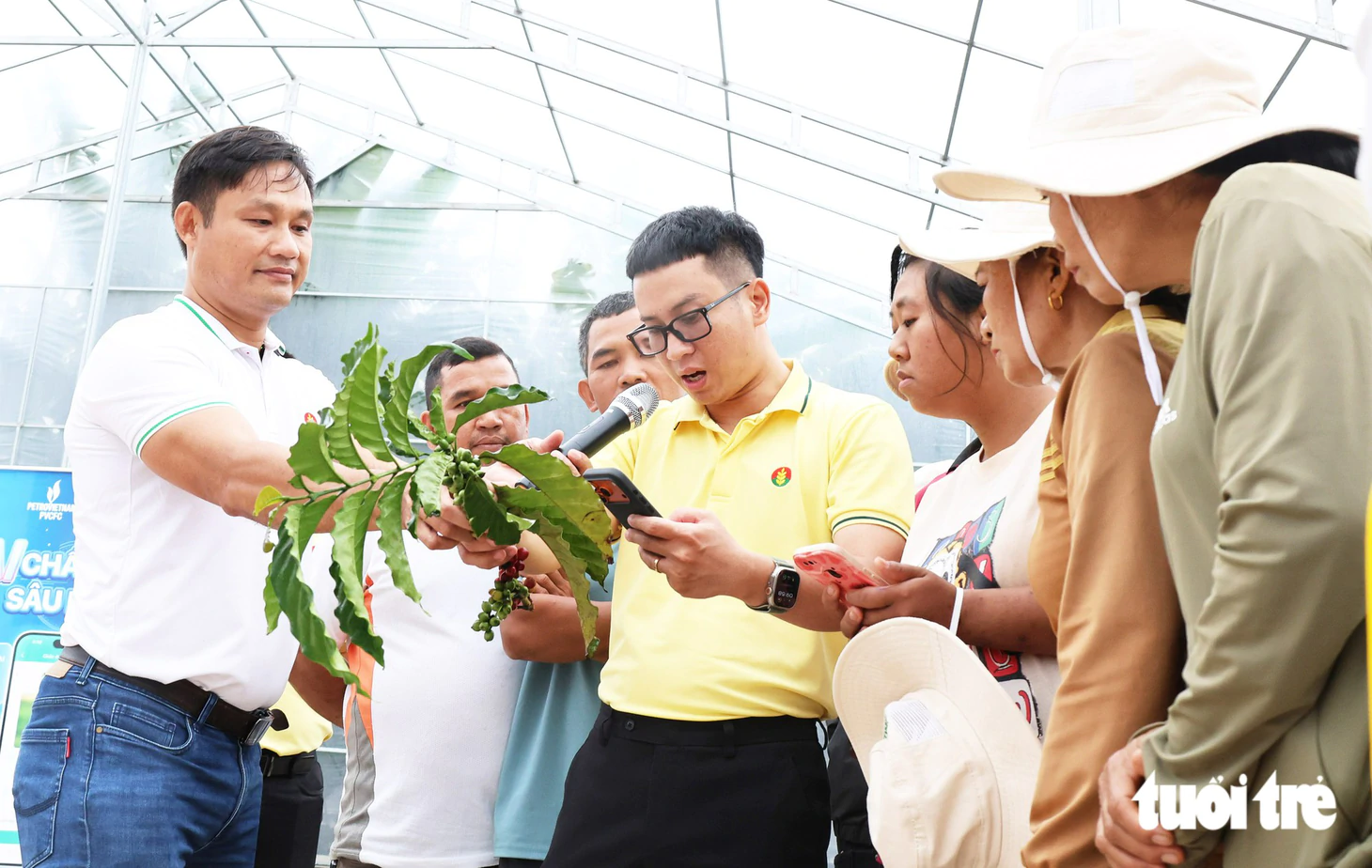Công nghệ số trong quản lý vùng trồng, nâng cao hiệu quả sản xuất Robusta Việt - Ảnh 7.