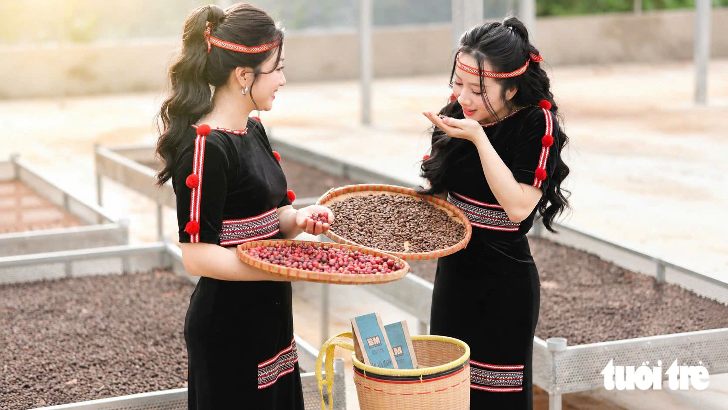 Công nghệ số trong quản lý vùng trồng, nâng cao hiệu quả sản xuất Robusta Việt - Ảnh 15.