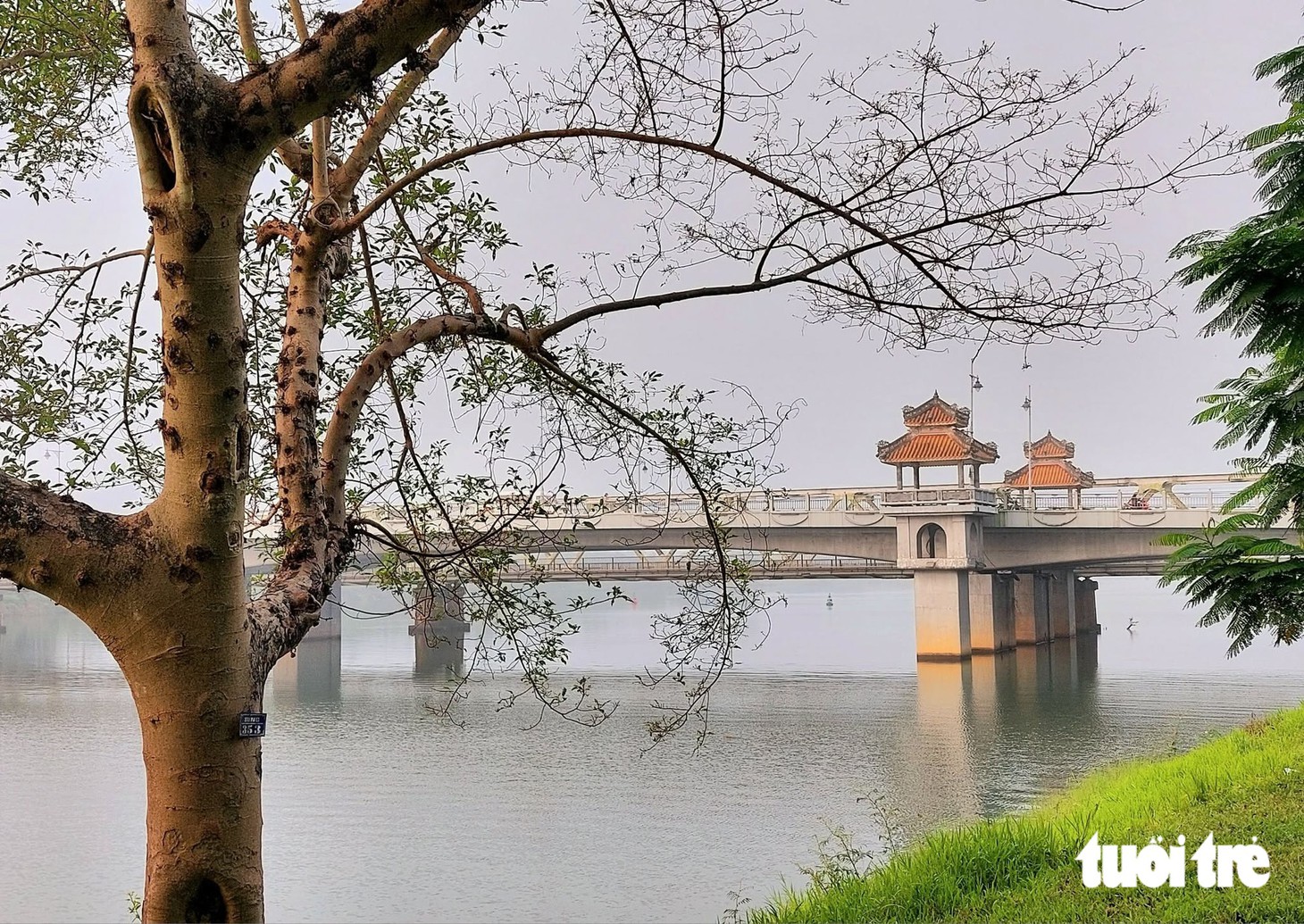Khám phá du lịch Huế 2026 với trải nghiệm Ăn , cầu nguyện và yêu đầy lãng mạn - Ảnh 9.