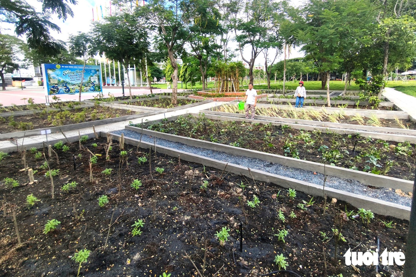 Điểm hẹn 'vui vẻ' của cụ ông, cụ bà ở Bình Tân - Ảnh 8.