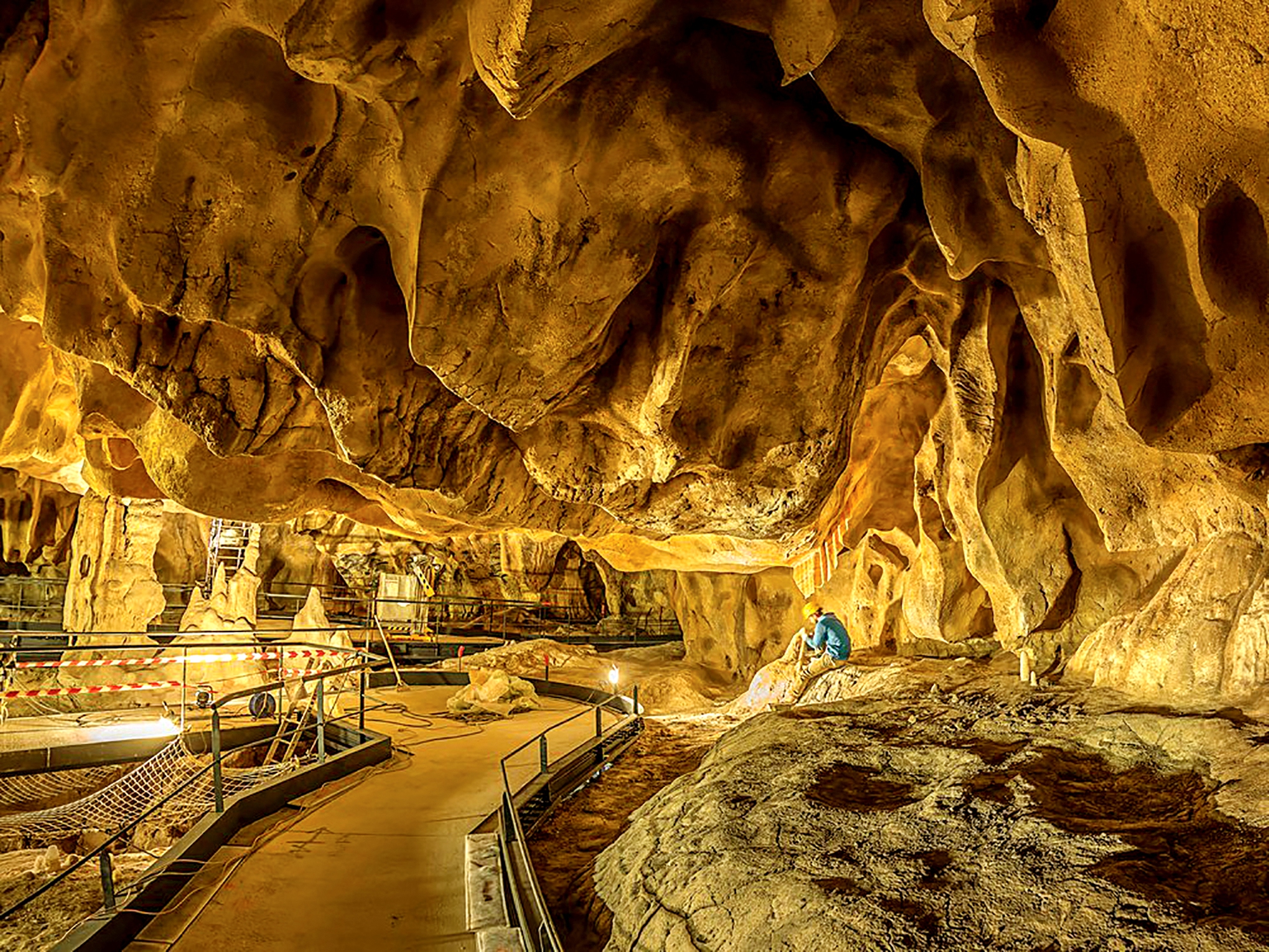 Mở tour vào rừng sâu - Ảnh 14.