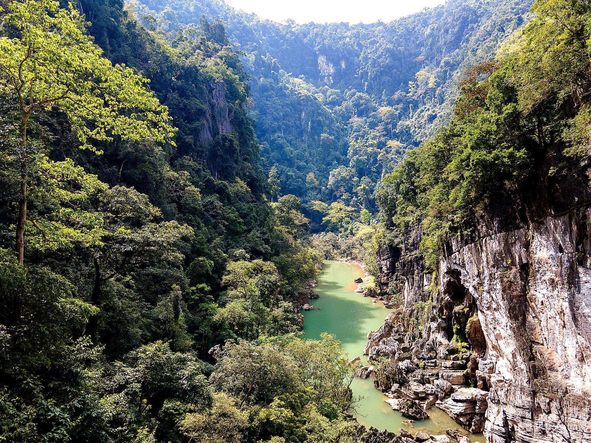 Mở tour vào rừng sâu - Ảnh 10.