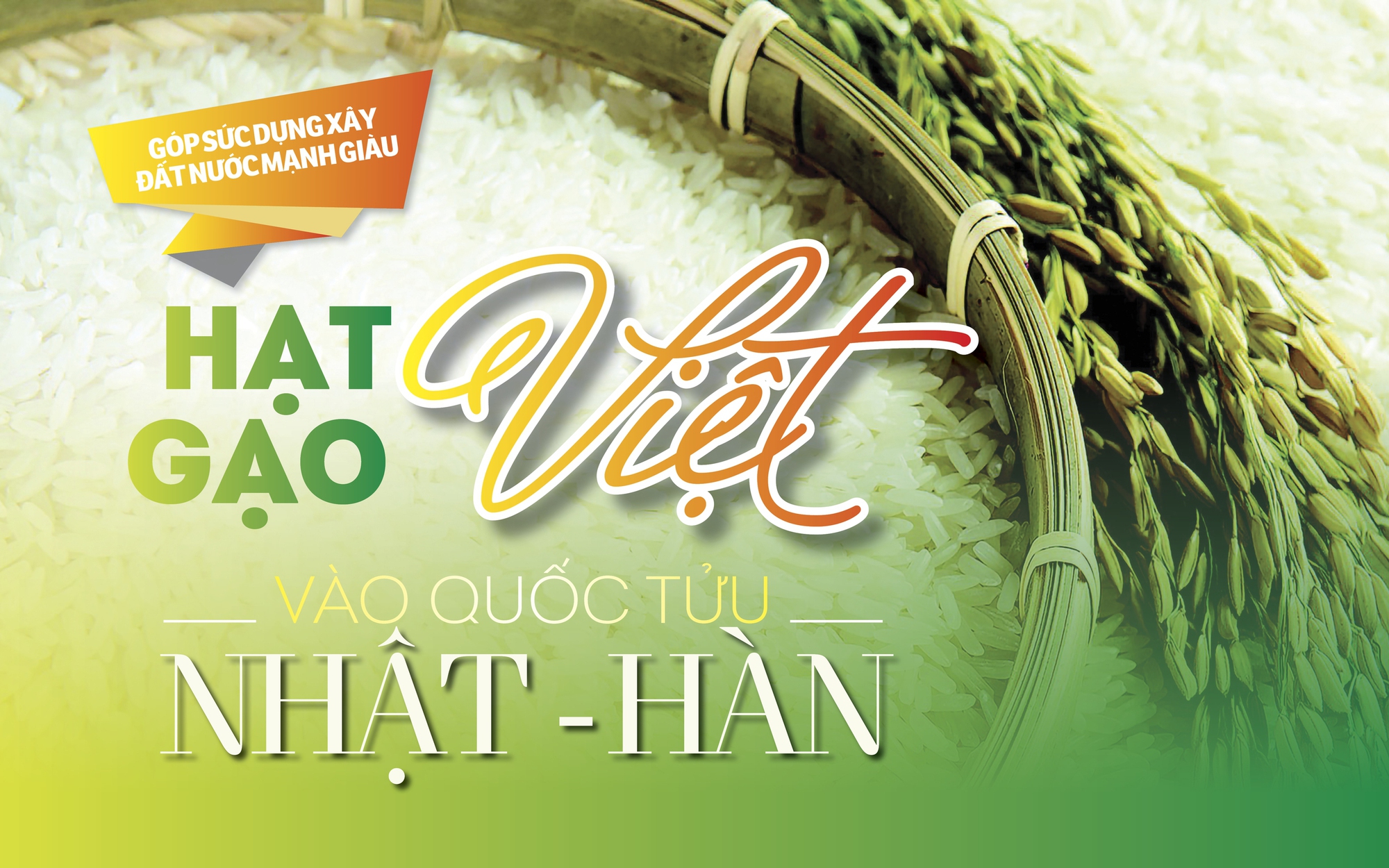 Hạt gạo làng ta vươn ra thế giới - Ảnh 12.