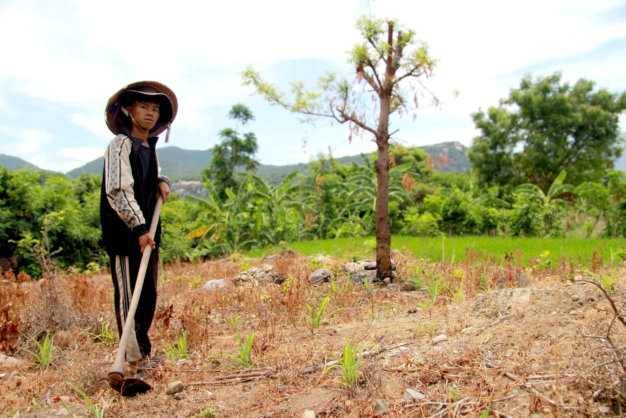 Không còn cha mẹ, Katơr Mận đậu Đại học Nông Lâm TP.HCM, là niềm tự hào của bản làng Raglay - Ảnh 13.