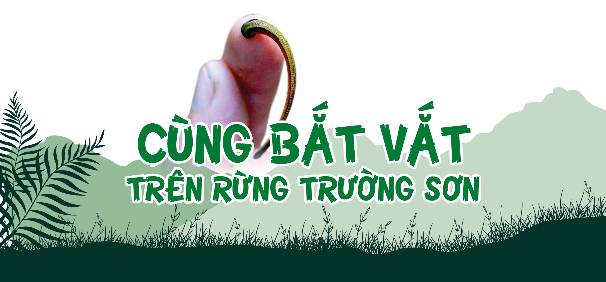 Bảo tồn rừng Trường Sơn - Ảnh 5.