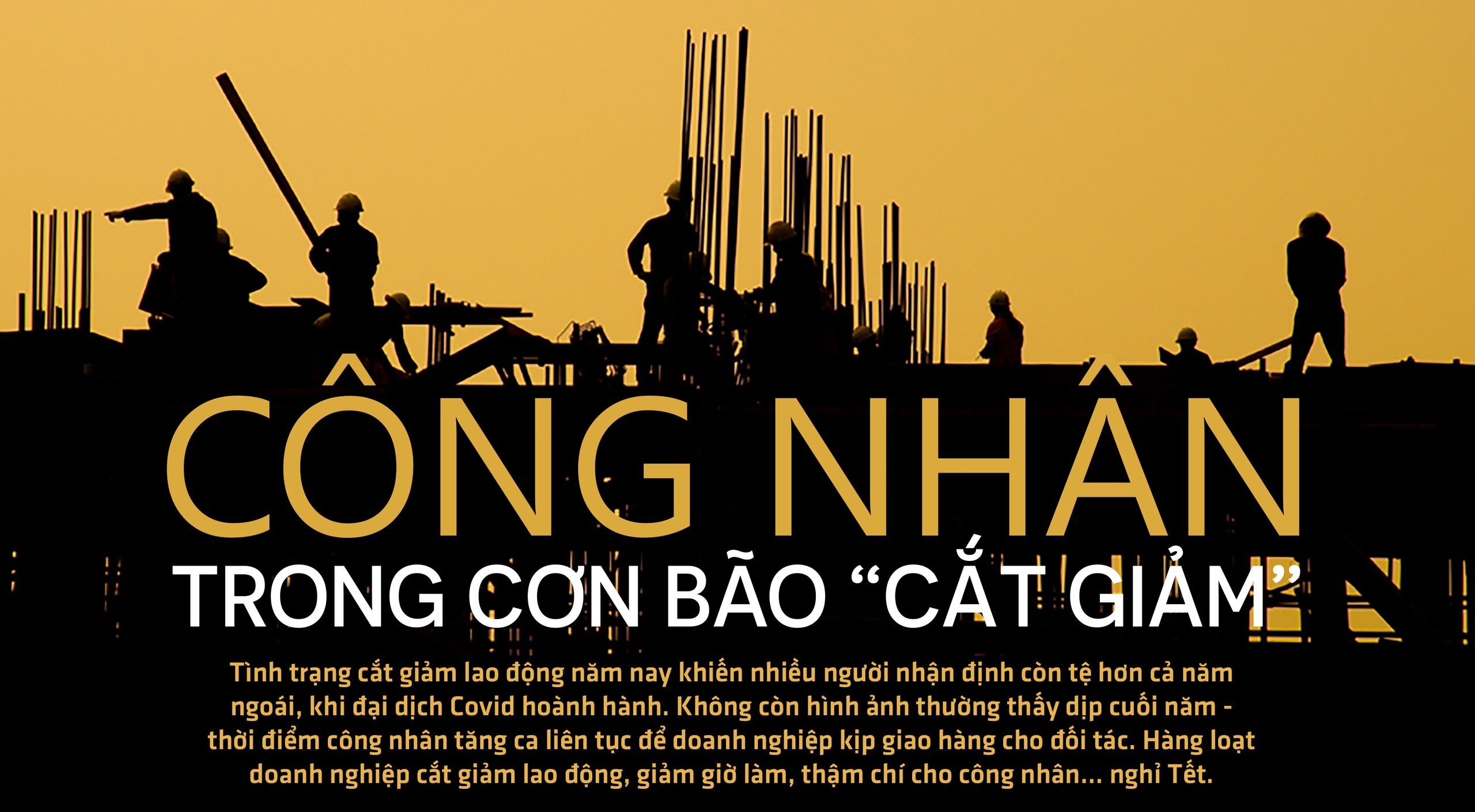 Sự khốc liệt của thị trường lao động - Ảnh 10.