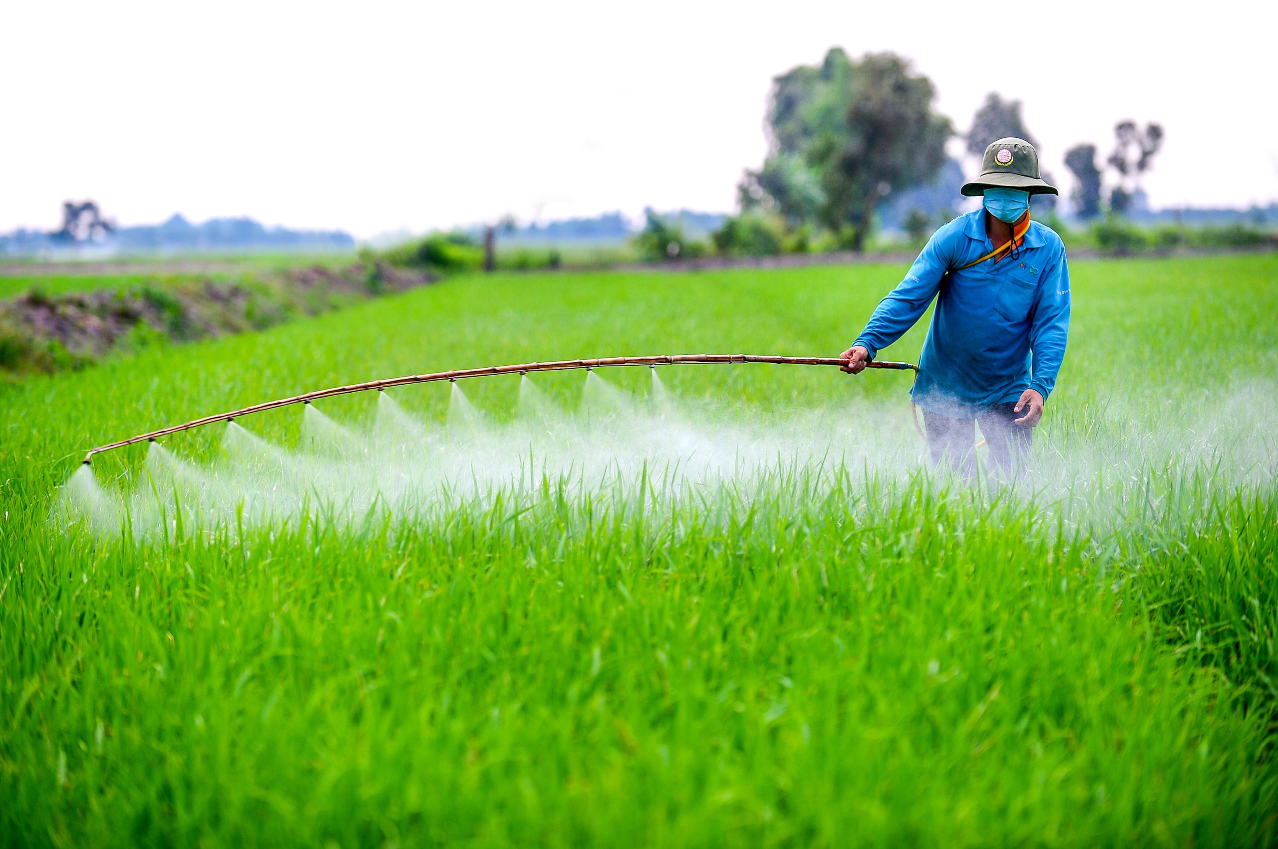 Bộ trưởng Lê Minh Hoan: Bước qua nền nông nghiệp đánh đổi - Ảnh 3.