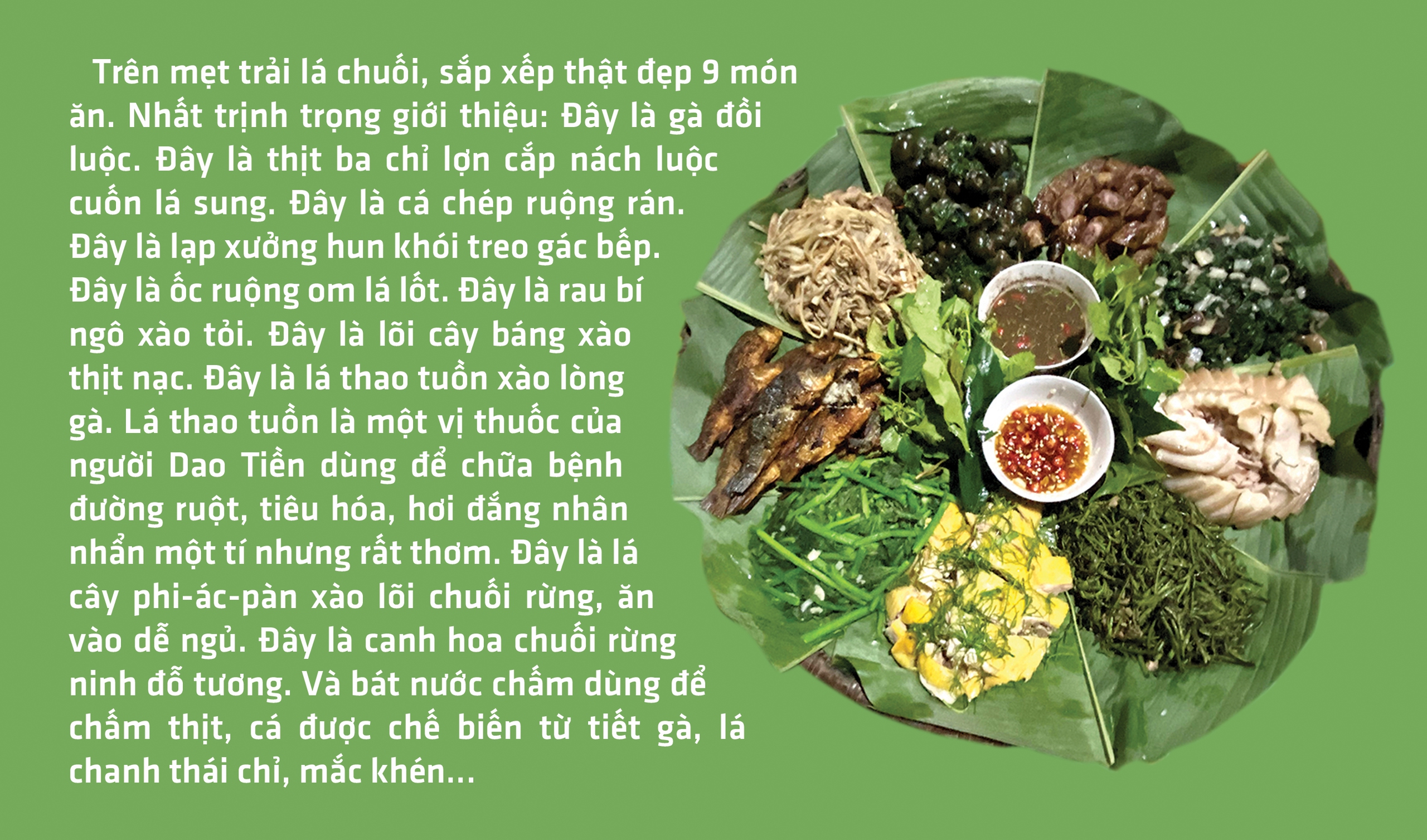 Lên Hoài Khao, ngắm sáp ong, ăn món Dao Tiền - Ảnh 13.