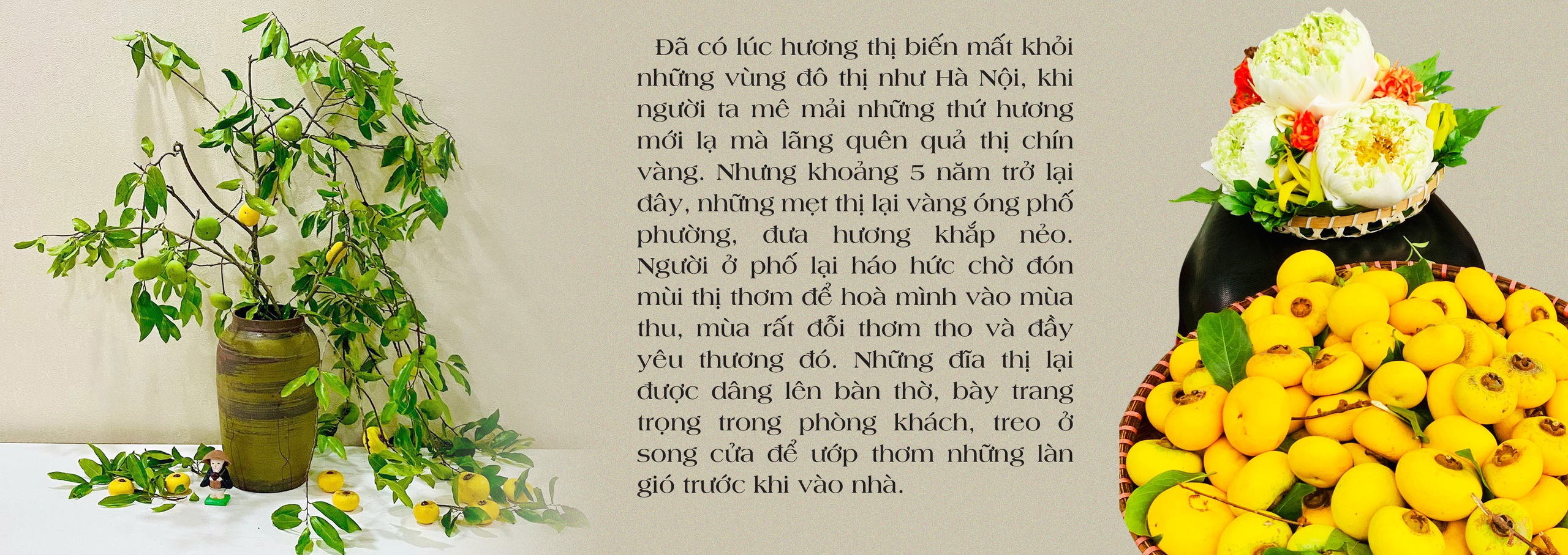 Mùa thu, mùa thơm,  mùa thương - Ảnh 5.