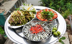 Tản văn Mực Tím: Thương con nước lên - Ảnh 2.