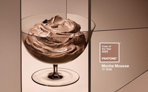 Sắc trắng Cloud Dancer được Pantone chọn là màu của năm 2026- Ảnh 3.