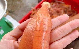 Về ghềnh đá Bàn Than ăn cá chuồn nướng than- Hương biển giữa miền hoang sơ Tam Hải - Ảnh 8.