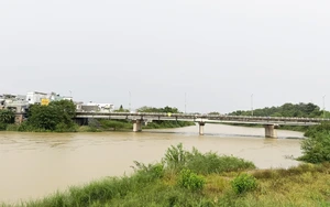 Da Nang residents stock up ahead of storm Fengshen- Ảnh 10.