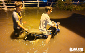 Record floods in Ho Chi Minh City, southern Vietnam kill 1; submerge homes, crops- Ảnh 2. Record floods in Ho Chi Minh City, southern Vietnam kill 1; submerge homes, crops- Ảnh 2.