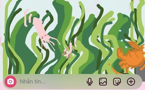 Canva mở quyền truy cập miễn phí bộ công cụ thiết kế Affinity- Ảnh 8.