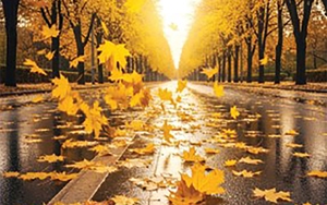 Quiz: Chuyện kể từ những đôi giày - Ảnh 4.