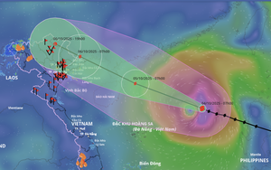 Vietnam may seek retirement of storm name Bualoi following widespread destruction - Ảnh 2.