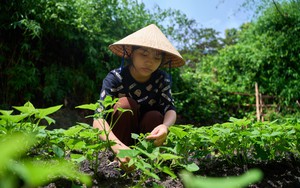 Học bổng Vì tương lai Việt Nam: những mầm xanh vẫn kiên cường giữa bão giông - Ảnh 5.