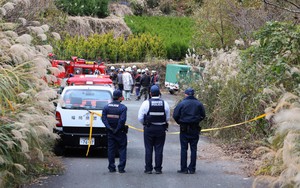 Plane crash in Colombia kills 15, including politician - Ảnh 1.